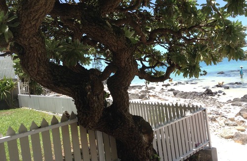 Trou d'Eau Douce Apartment | The feet in water