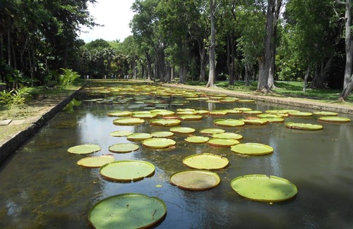 Trou d'Eau Douce Apartment | The feet in water