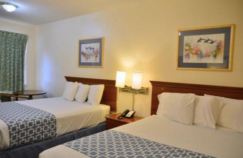 South Padre Island Hotel | The Flamingo - South Padre Island
