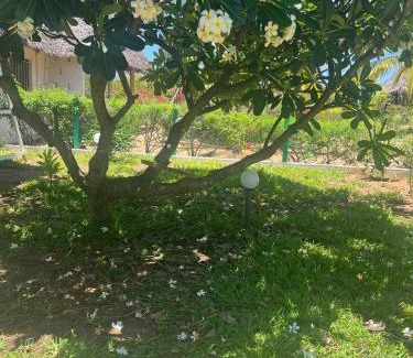 Mambrui Villa | The Foxy Nests of Karibuni - Villa 184 & 145