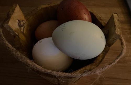 Tarporley Cabin | The Goose lodge