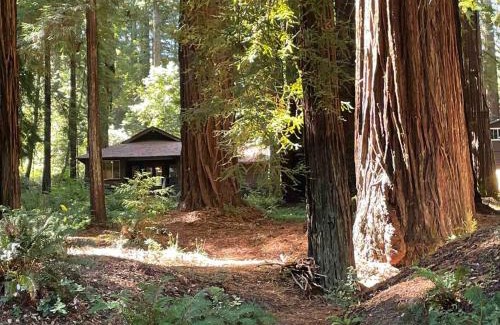 Redway House | The Groves at Redway Beach - Craftsman