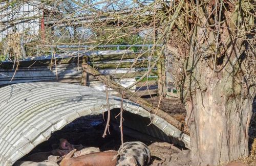 Blaisdon House | The Hay Barn - Ukc4135