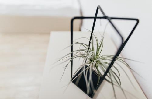 Gheorgheni Apartment | The Home Sweet Home