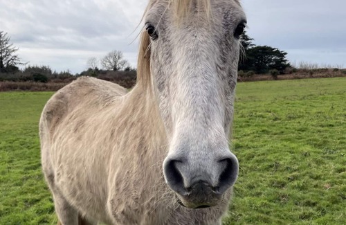 Plogoff House | The house in the moor
