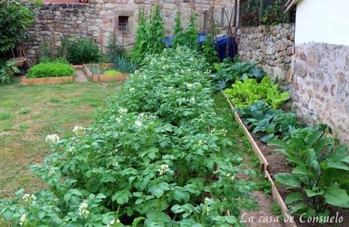 Viernoles House | The House of Consuelo (3) for 6/7 people