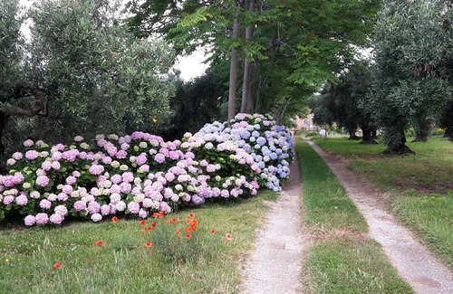 Gizzeria House | The house of Gilda b & b