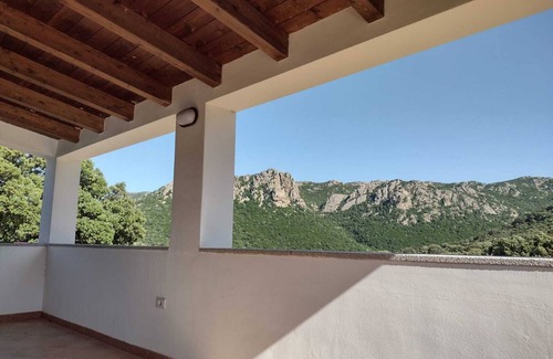 Monti House | The house of olive trees