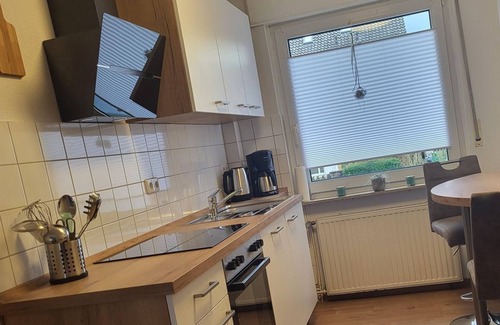 Hamelin Apartment | The Immerreich - vacation home with balcony, terrace and small garden