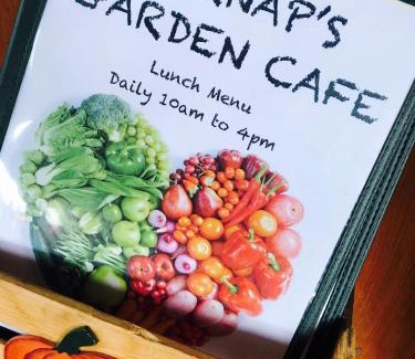 Sodus Bed & Breakfast | The Inn at Burnap's