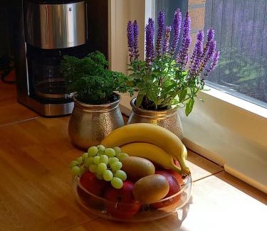 Wittingen House | THE IVY