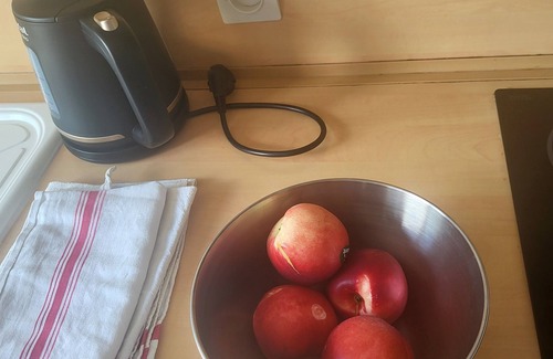 Notre-Dame Apartment | The little Versaillais