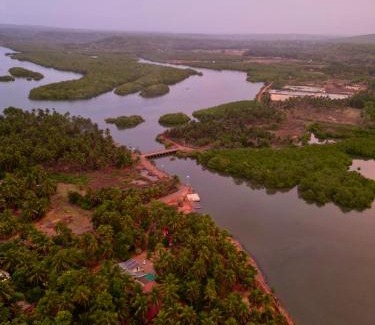 Devgad Hotel | The Mangrove