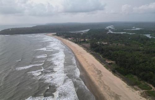 Devgad Hotel | The Mangrove