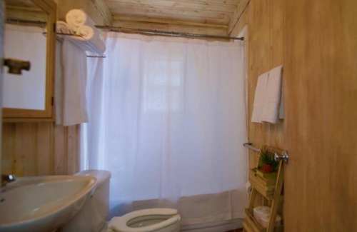 Lake City House | The Marigold Cabin with Mountain Views