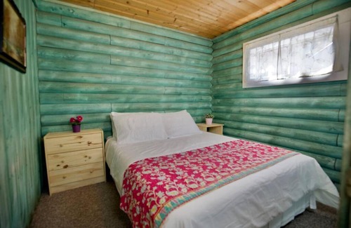 Lake City House | The Marigold Cabin with Mountain Views