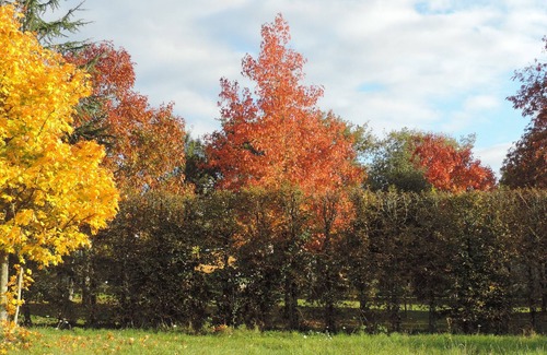 Bourneau House | THE OLD OAK