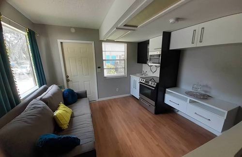 Temple Terrace Apartment | The Oshun Suite- Hidden Gem on Gated Estate near USF & Busch Gardens