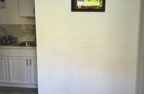 Paradise Apartment | The palm trees