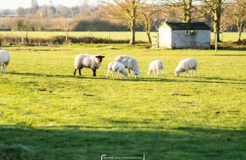 Wicklewood Bed & Breakfast | The Pheasantry