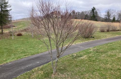 Laurel Springs House | The Place on the Blue Ridge Parkway