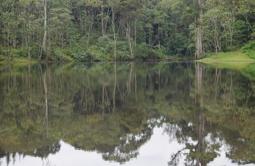 Kerugoya Bed & Breakfast | THE PLANTAINS PLACE