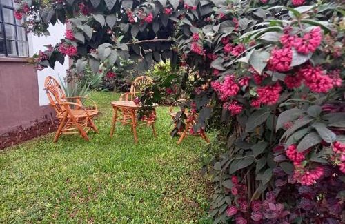 Kerugoya Bed & Breakfast | THE PLANTAINS PLACE