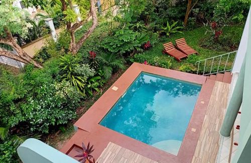 Diani Beach Apartment | The Pool House & The Colobus House, Bella Seaview, Diani Beach, Kenya