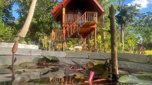 Sigiriya Bed & Breakfast | The Rock & Paddy Resort