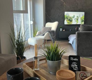 North Macedonia Apartment | The Royal Pine Apartment Mavrovo