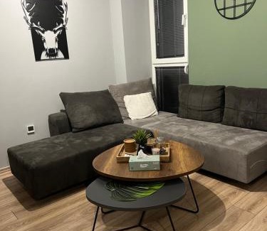 North Macedonia Apartment | The Royal Pine Apartment Mavrovo