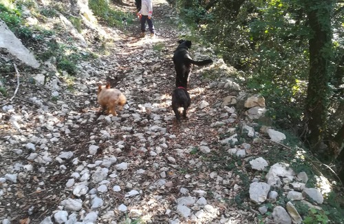 Piglio House | The small house of Ale - Piglio and dog trekking