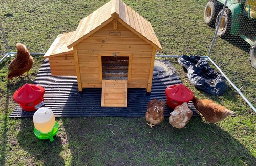 Braintree Other | The Stable Yard at Iron Pear Tree Farm