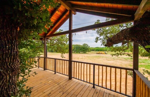 Elm Mott RV Rental | The Starling Treehouse 15 MIN to Magnolia & Baylor