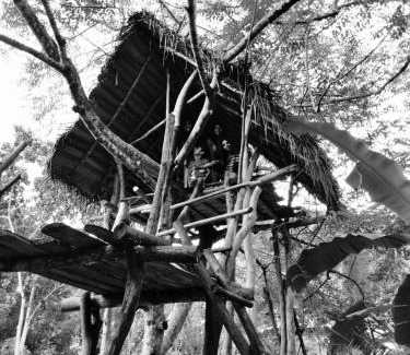 Moragaswewa House | The Treasure - Habarana