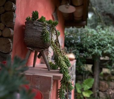 Falerna Bed & Breakfast | The Treehouse - Casa sull'albero al Golden Camp