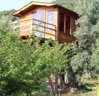Falerna Bed & Breakfast | The Treehouse - Casa sull'albero al Golden Camp