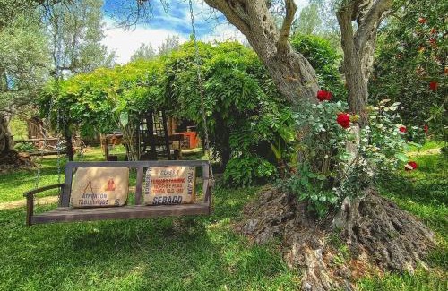 Falerna Bed & Breakfast | The Treehouse - Casa sull'albero al Golden Camp