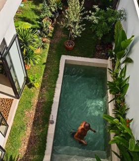 Dong Hoa House | The White House