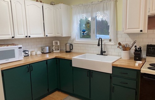 Cape Broyle Cabin | This Cabin Steps from the East Coast trail, fishing ponds and whale Watching!