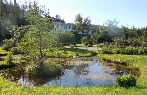 Cape Broyle Cabin | This Cabin Steps from the East Coast trail, fishing ponds and whale Watching!