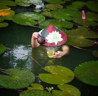 Thai Nguyen House | Tiến Yên Farmstay