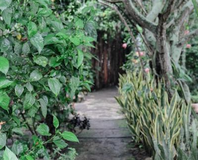 Kecamatan Praya Barat Daya House | Tiara Homestay