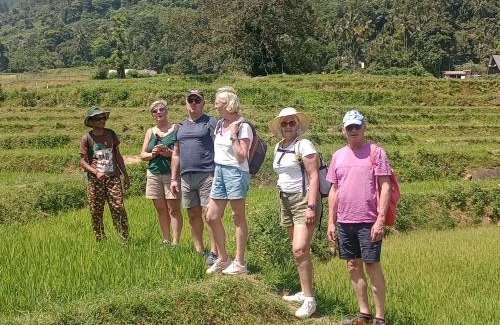 Digana Resort | Tibline by Gotravelfix