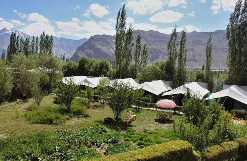 Nubra Valley Other | Tiger Camp Nubra