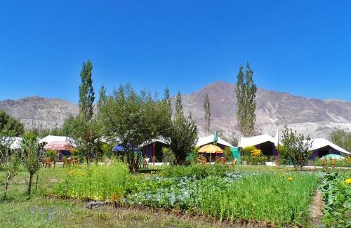Nubra Valley Other | Tiger Camp Nubra
