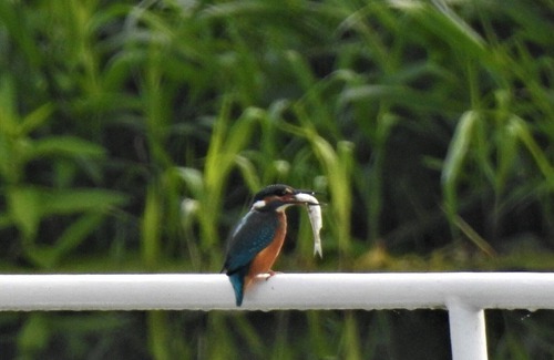 Niederfinow Apartment | Time with water apartment I