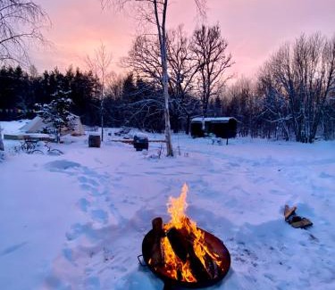 Laane-Harju Parish Cabin | Tiny Cabin in nature with finnish Sauna