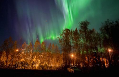 Chugiak House | Tiny Home at Bear Mountain -Only 25 Min from Anchorage, Great Central location-Cute & Comfortable