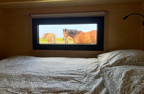 Annouville-Vilmesnil Ski Chalet | Tiny House La Cavalerie, au milieu des chevaux !